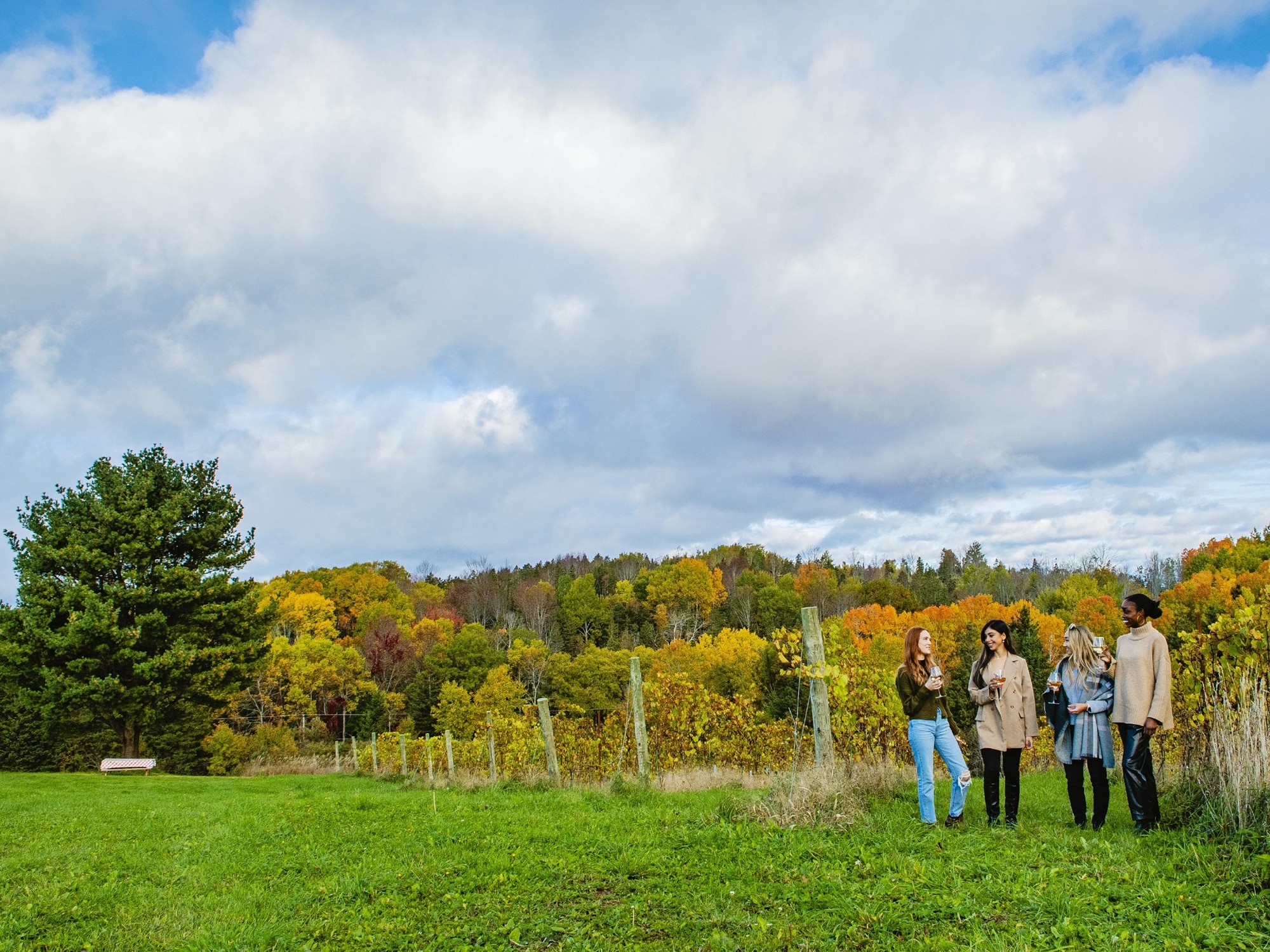 Four women walk thorough a vineyard at Avondale Sky Winery during the fall.
