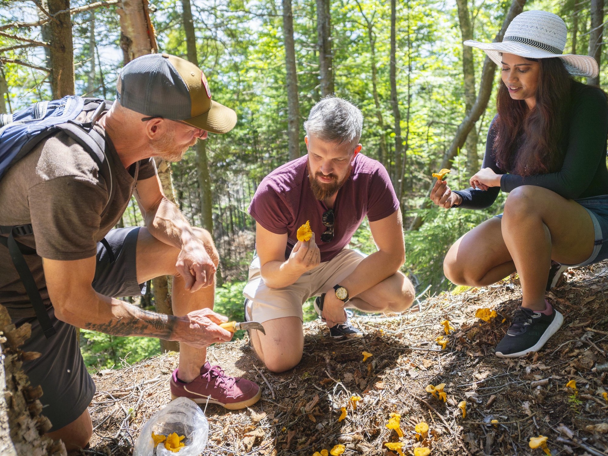 Two people forage in the woods with a guide.