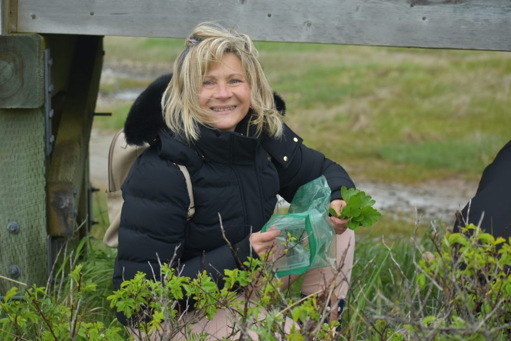 Gather & Graze: Foraging Adventure with Gourmet Lunch