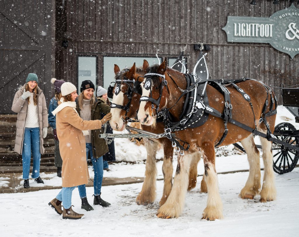 Horse-Drawn Vineyard Tour