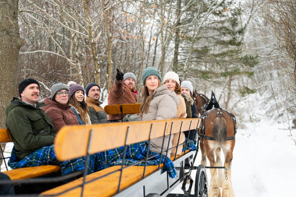 Horse-Drawn Vineyard Tour