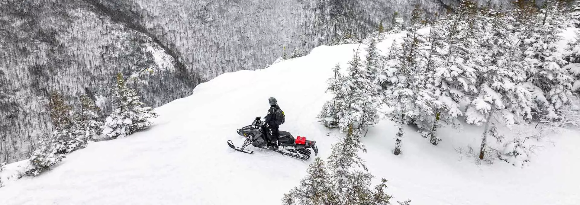 An individual sitting on a snowmobile surrounded by snow covered trees.