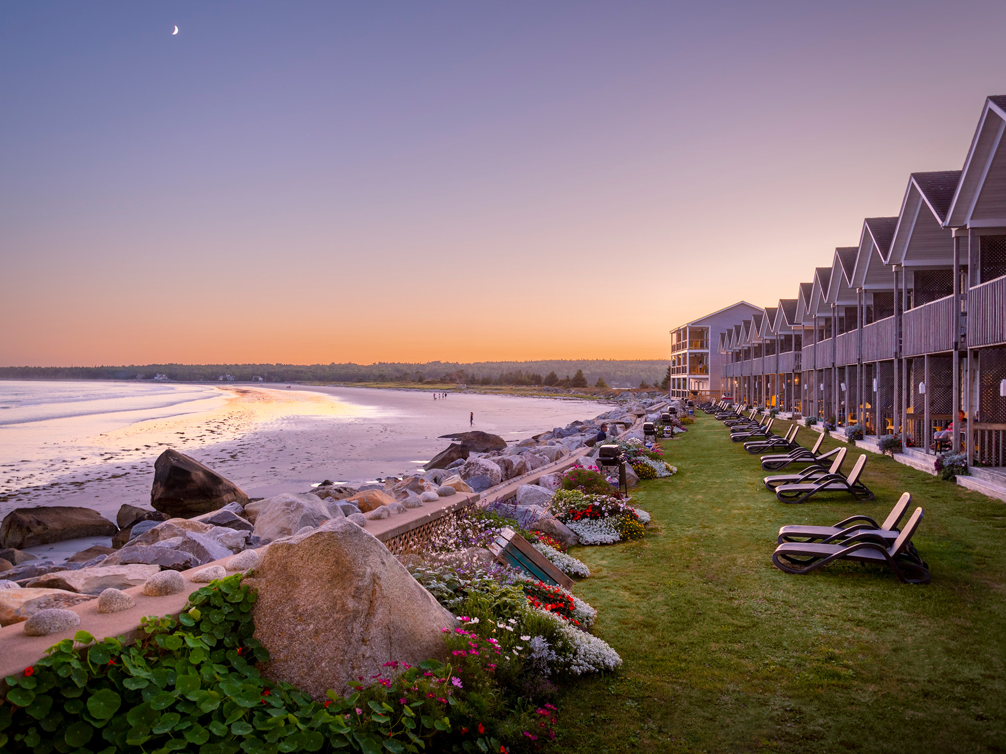 A row of lounge chairs facing the ocean, laid out in front of accommodations at Quarter