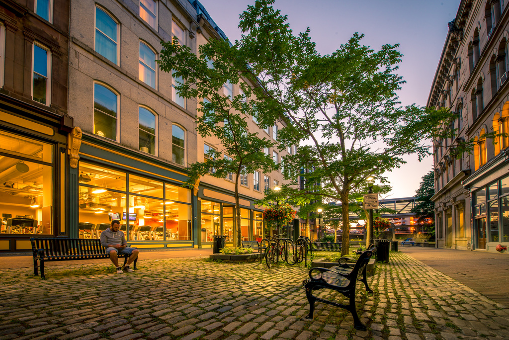 A cobblestone courtyard between historic buildings with trees and benches