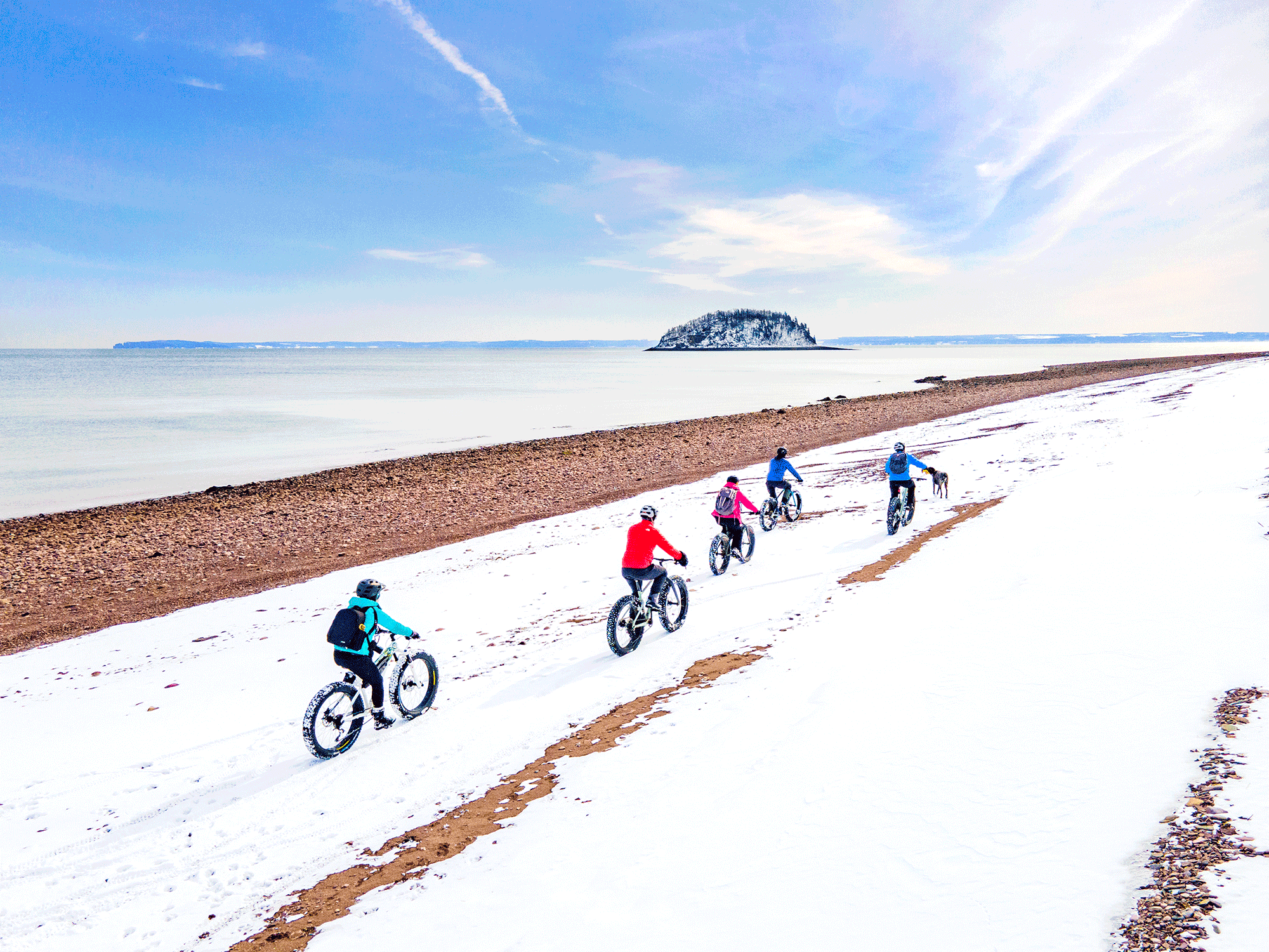 A group of people fat biking on a snowy beach beside the ocean