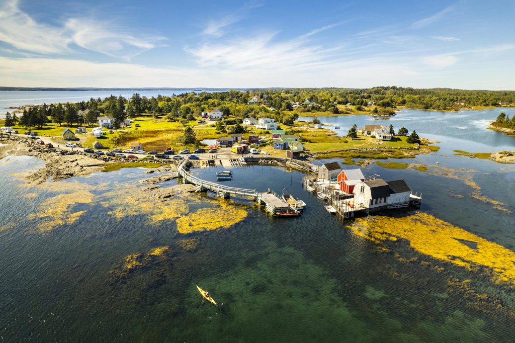 Lobster and Luminescence