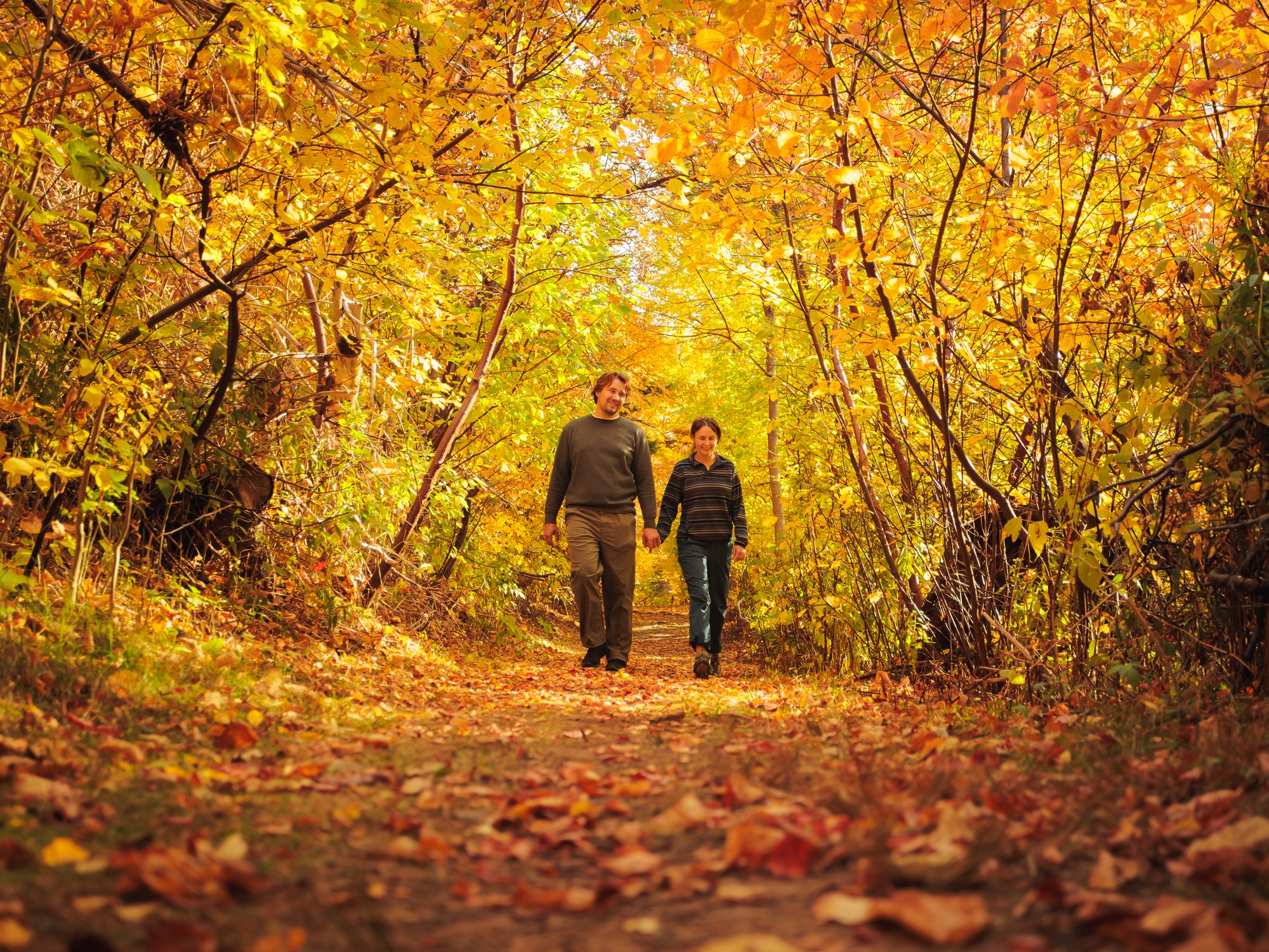 Chéticamp, Nova Scotia: A Perfect Fall Getaway