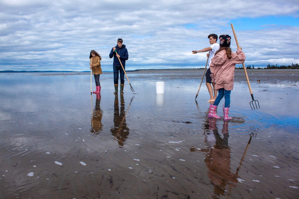 A group of people dig clams during the Festival de Coques (Clam Festival) in Clare, Nova Scotia