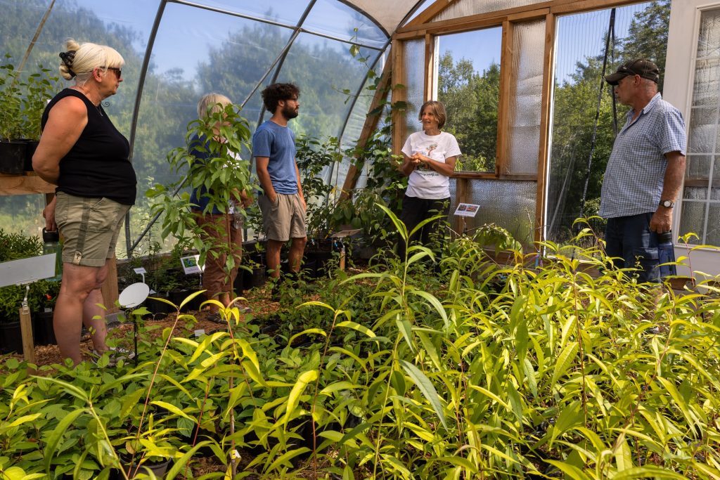 Guided Jungle Tour