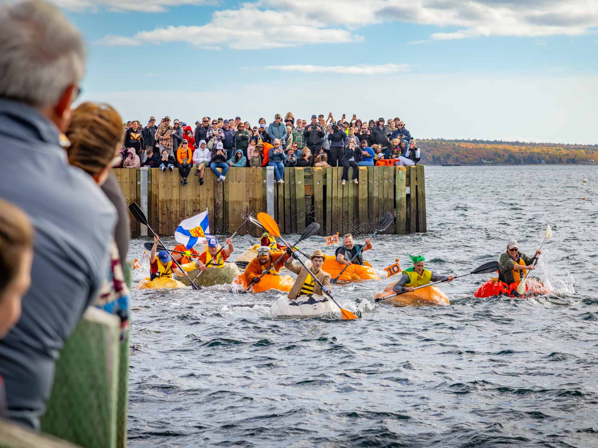 Shelburne Giant Pumpkin Regatta sees paddlers in hollowed out giant pumpkins paddling in Shelburne Harbour in Nova Scotia each fall.