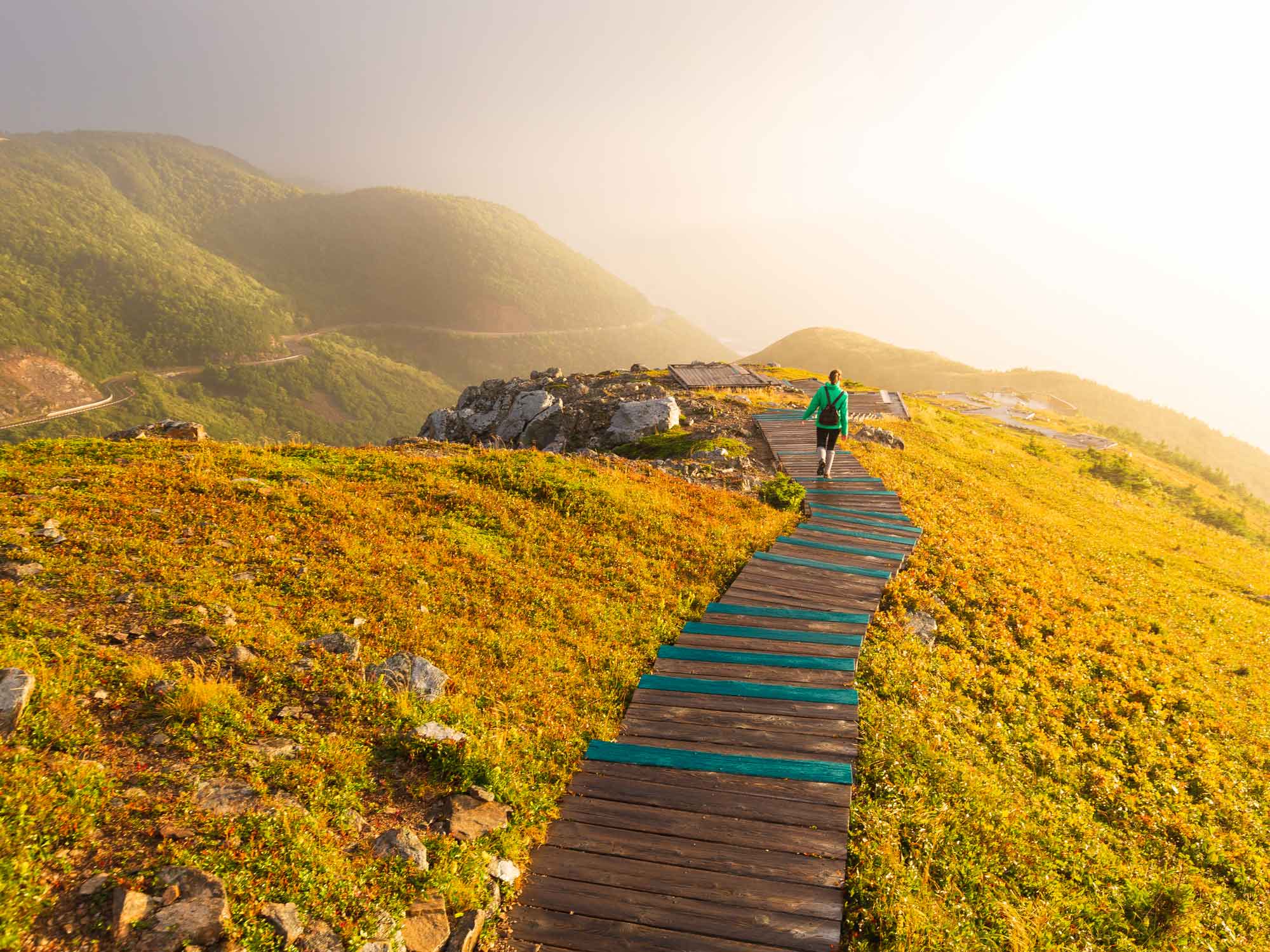 View of a hiker walking down the boardwalk and stairs on the Skyline Trail headland towards the tip as the fog is burning off with the summer sunrise warming up the air in Cape Breton, Nova Scotia.