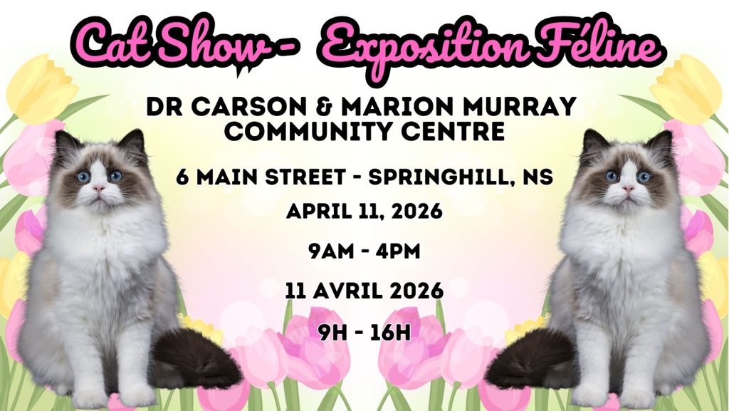 A promotional poster featuring two cats for the upcoming Springhill Cat Show in Nova Scotia