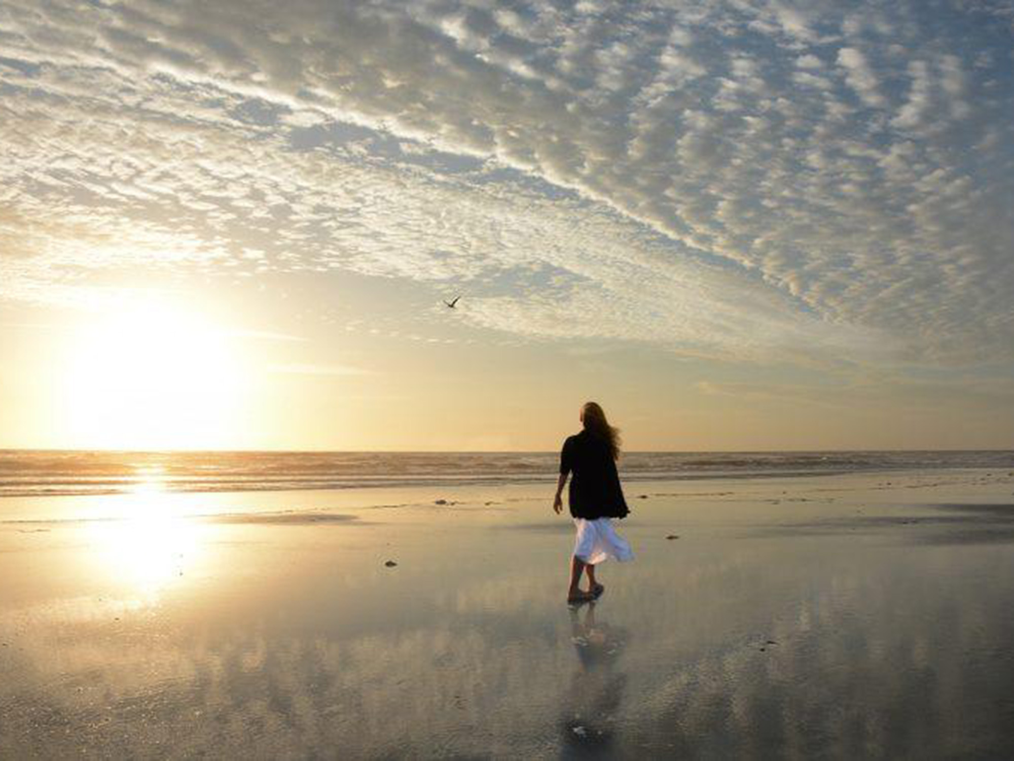 Woman on beach during sunset