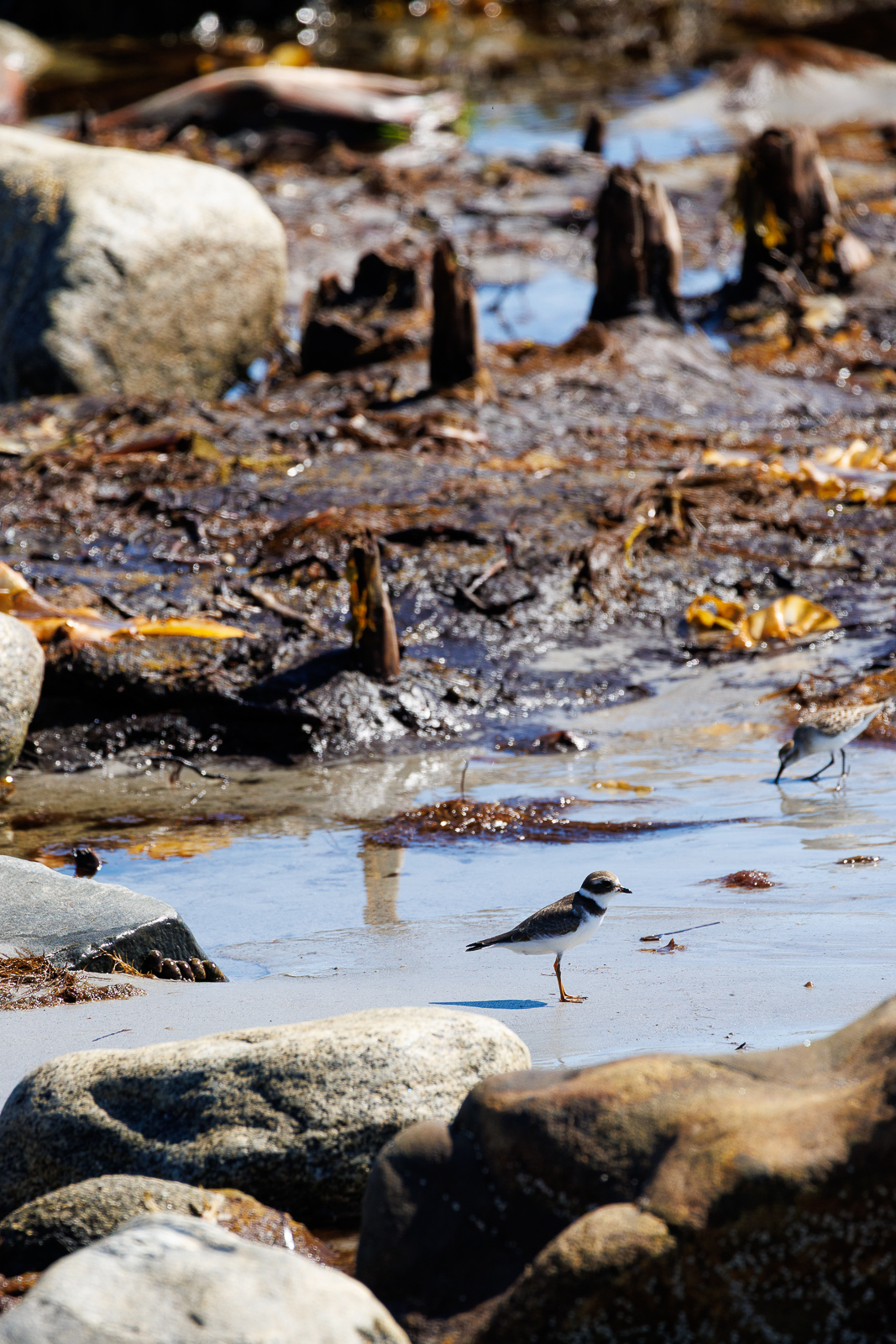 Cape Sable Island, Foto: © Sabrina Kiefer und Steffen Jost
