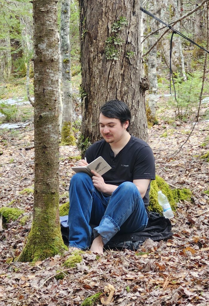 Guided Forest Immersion