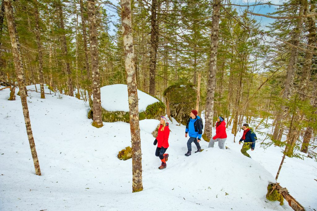 Lawrencetown Lodge Trek & Stay
