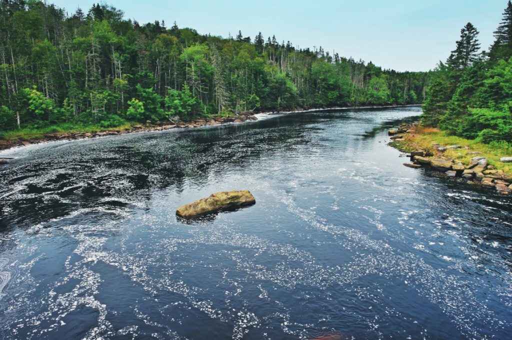 Great Nova Scotia Fishing Experience