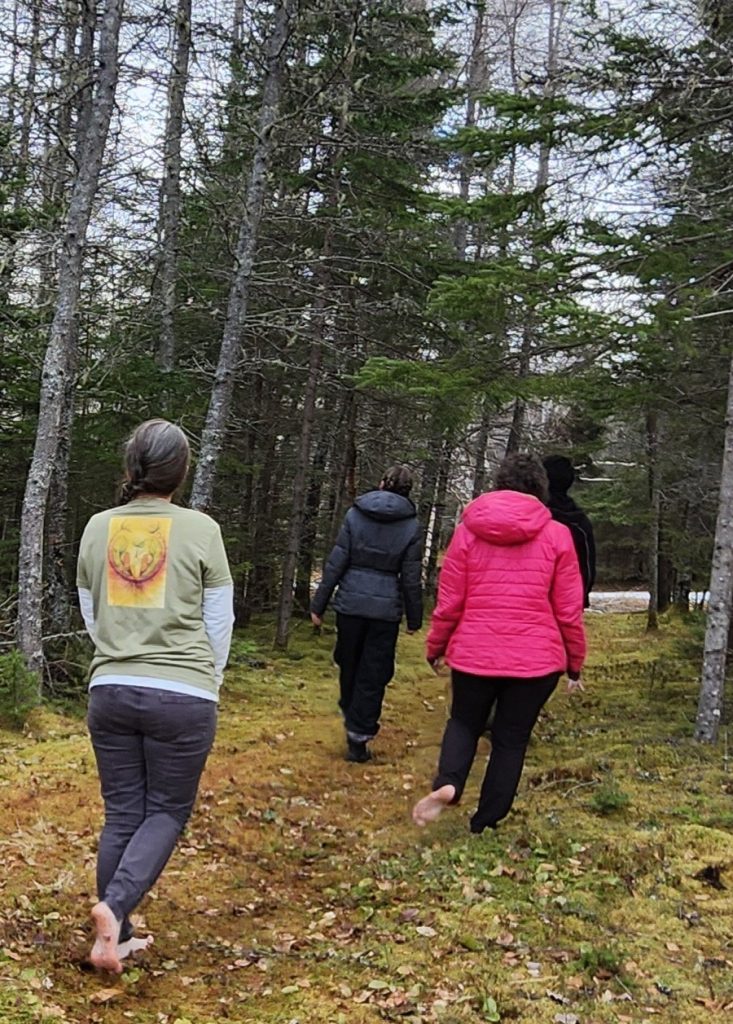 Guided Forest Immersion