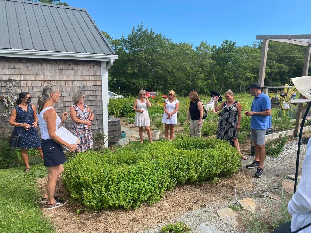 Five Senses: Culinary Herbs & Lunch