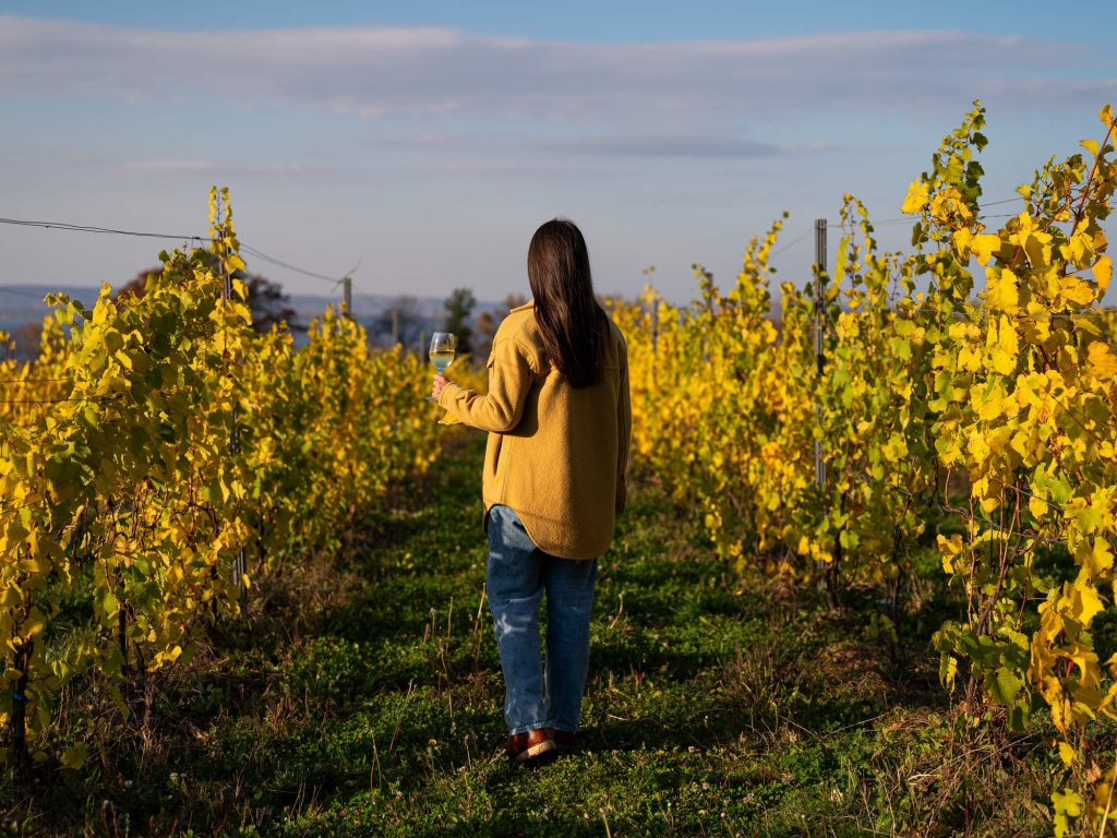 Wine & Lunch Escape