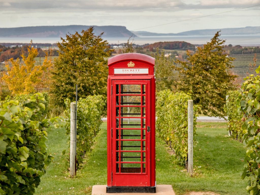 Wine & Lunch Escape