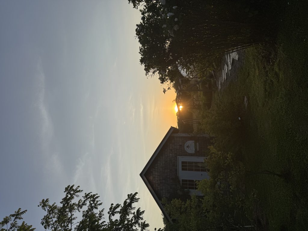 From Heart to Sky: A Guided Night of Presence & Wonder