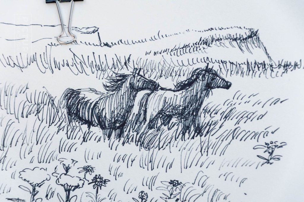 Before Sable Island: Drawing Horses with Briana Corr Scott