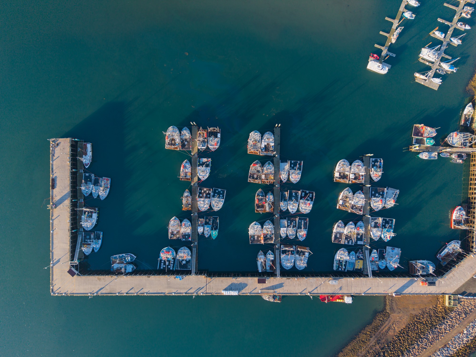 An overhead view of the scallop fishing fleet in Digby Nova Scotia
