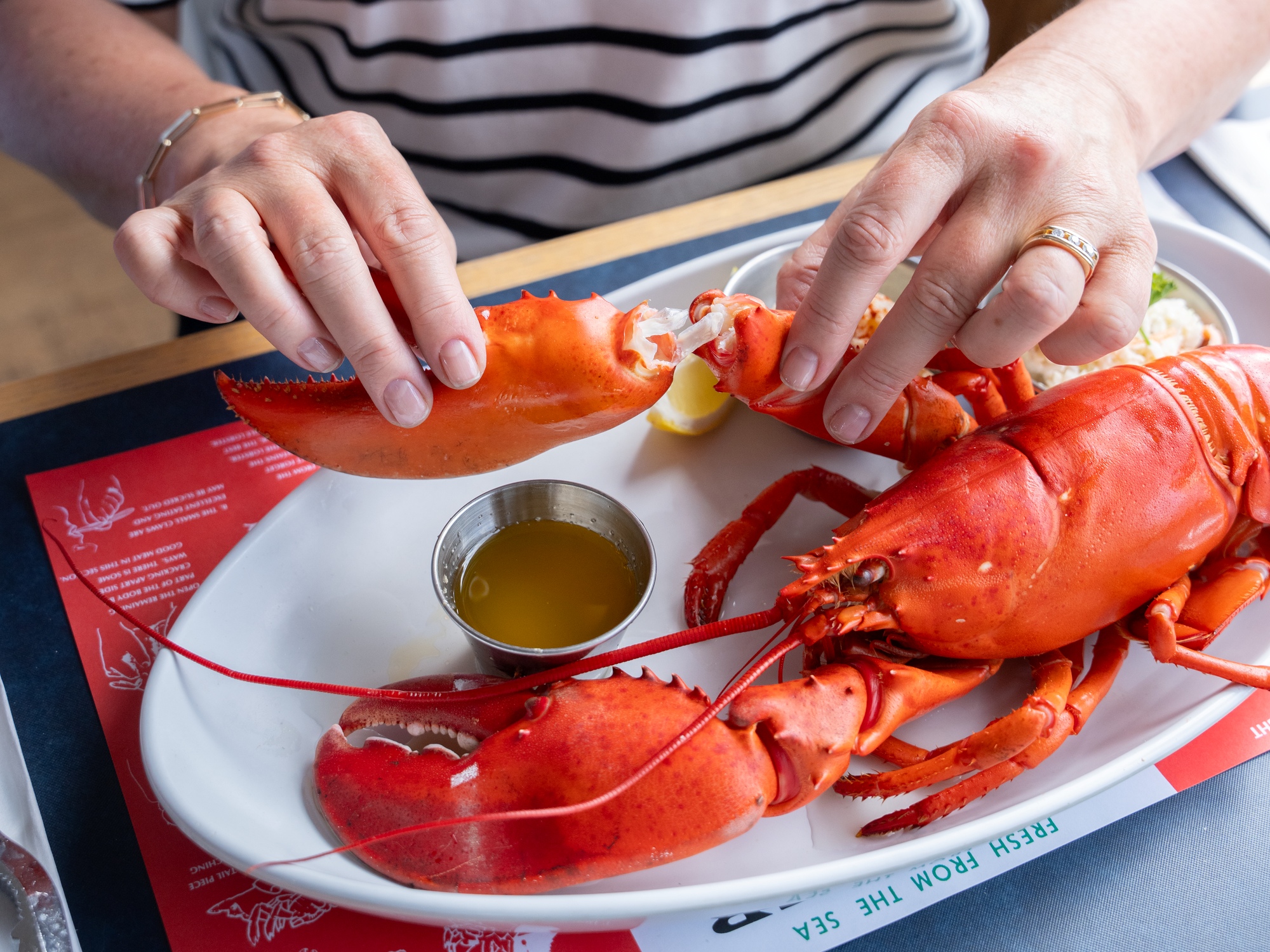 Person pulling off a lobster claw on a cooked lobster