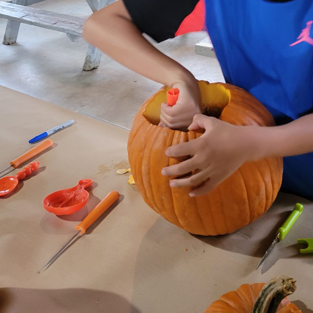 A child carves a pumpkin as part of the Celtic Colours community event: Pumpkin Carving in Chéticamp, Cape Breton Highlands National Park, Nova Scotia