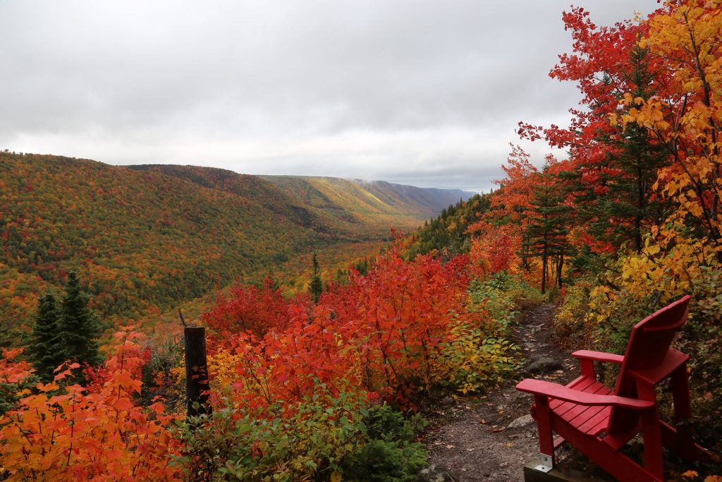 A fall view of the Aspy Trail during the Celtic Colours Guided Hike: Aspy Trail in Nova Scotia