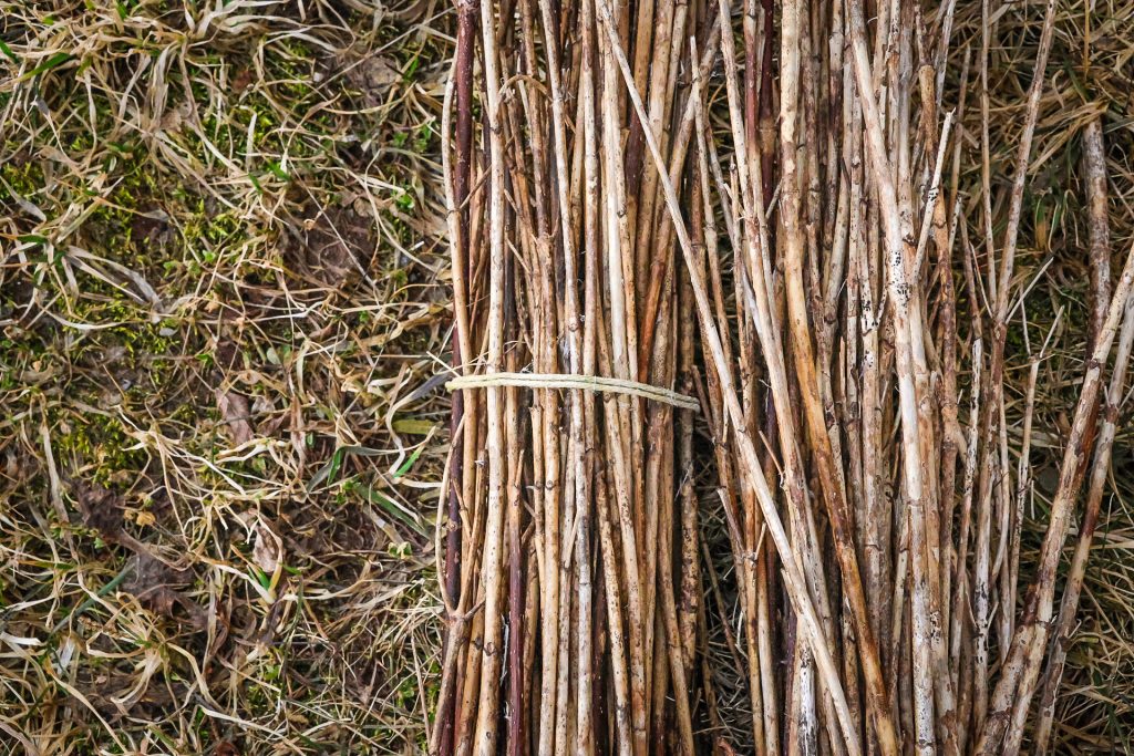 A collection of sticks used for weaving as part of the Celtic Colours: Weaving Our Tales in Chéticamp, Nova Scotia
