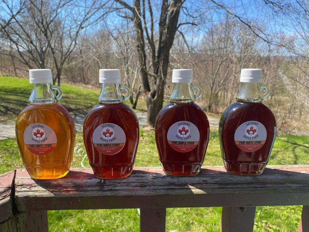 Private Maple Farm Tour: From Tree to Bottle