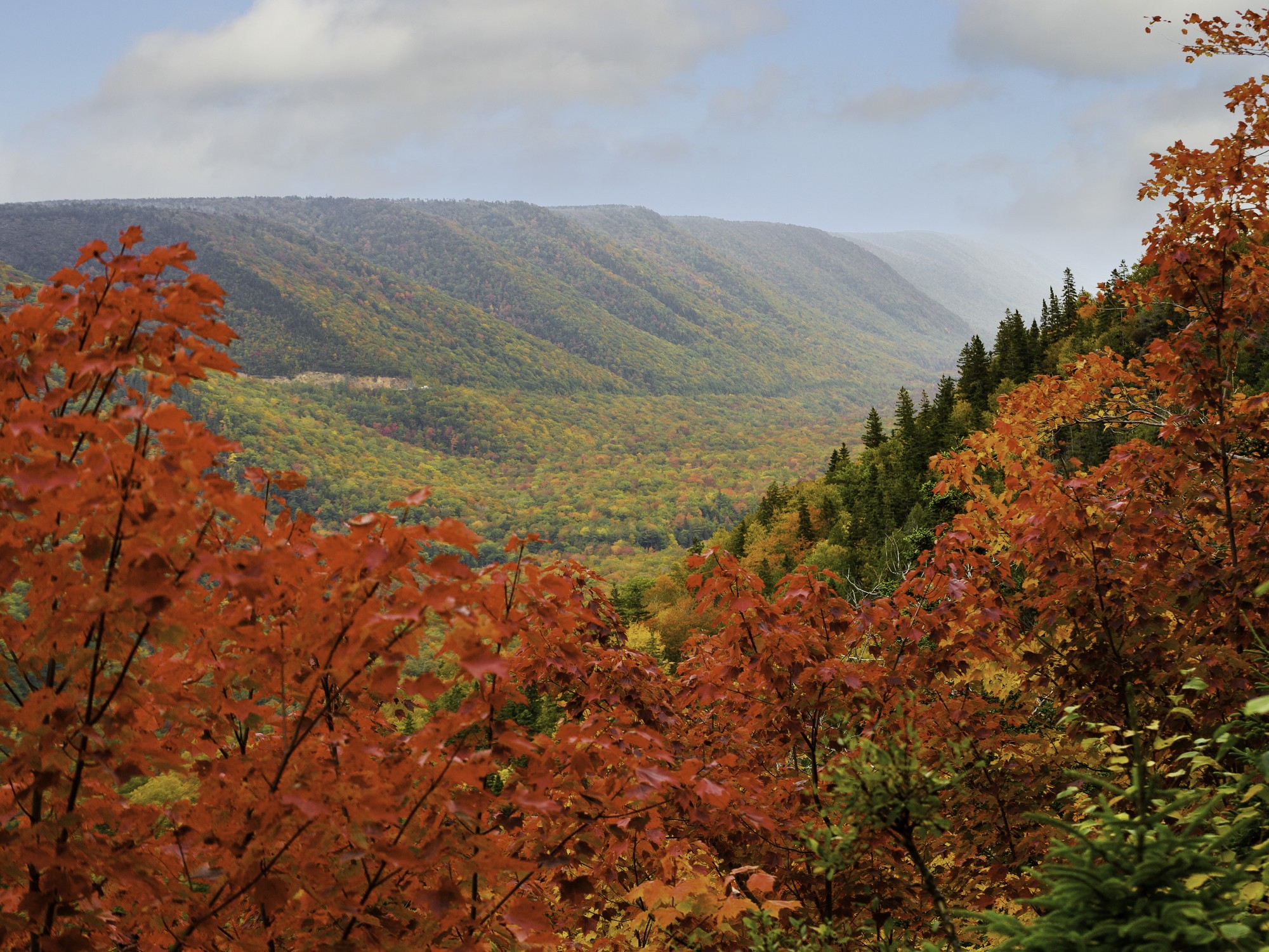 Bright fall colours in the Cape Breton Highlands