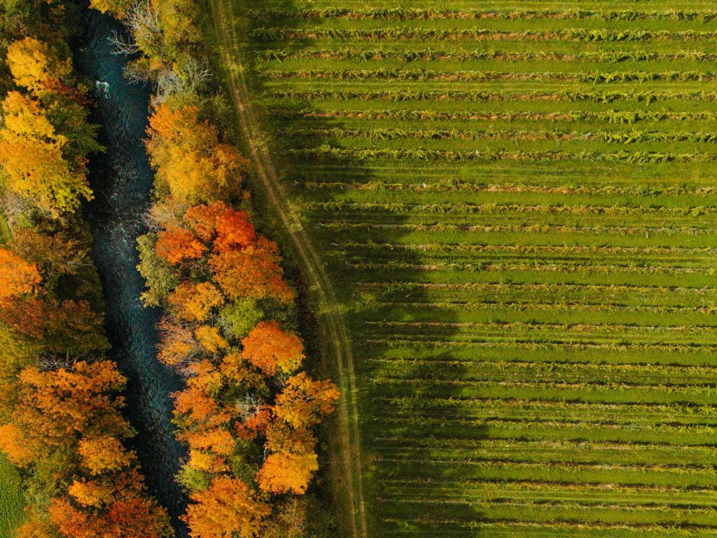 Gifts from the Valley