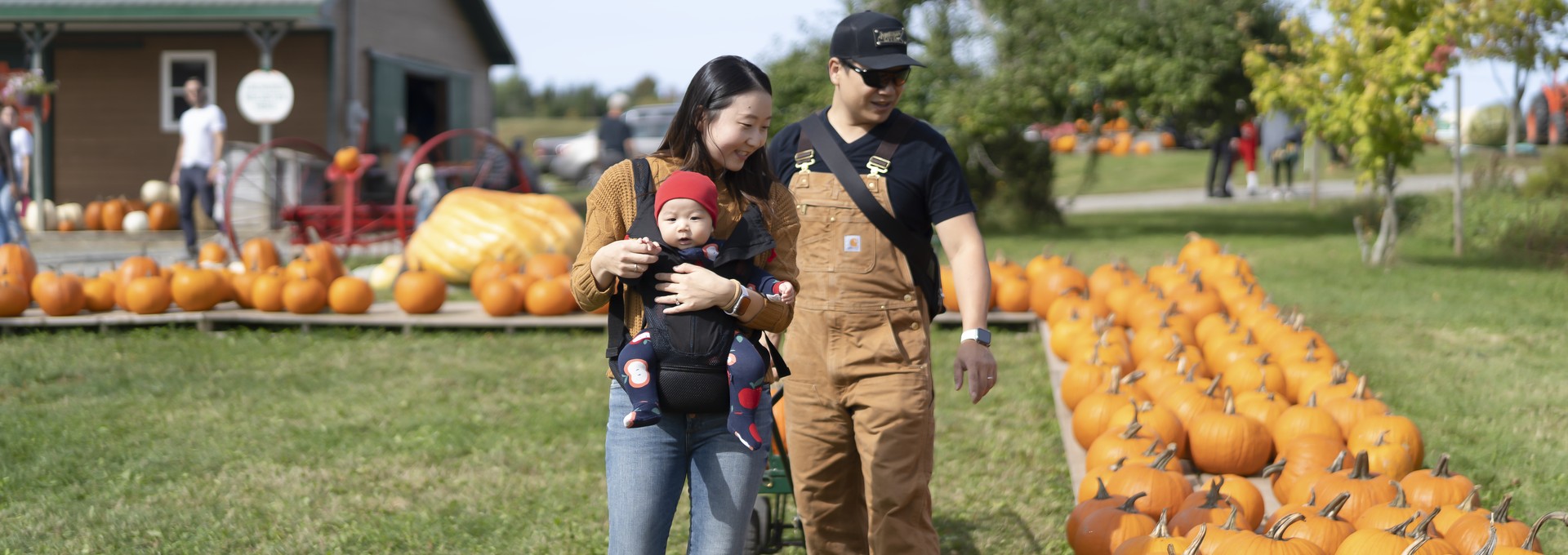 A family browses at a pumpkin farm in Windsor, Nova Scotia
