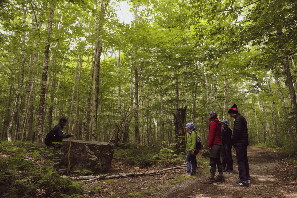 Celtic Colours Guided Hike: Salmon Pools Trail at the Cape Breton Highlands National Park in Nova Scotia