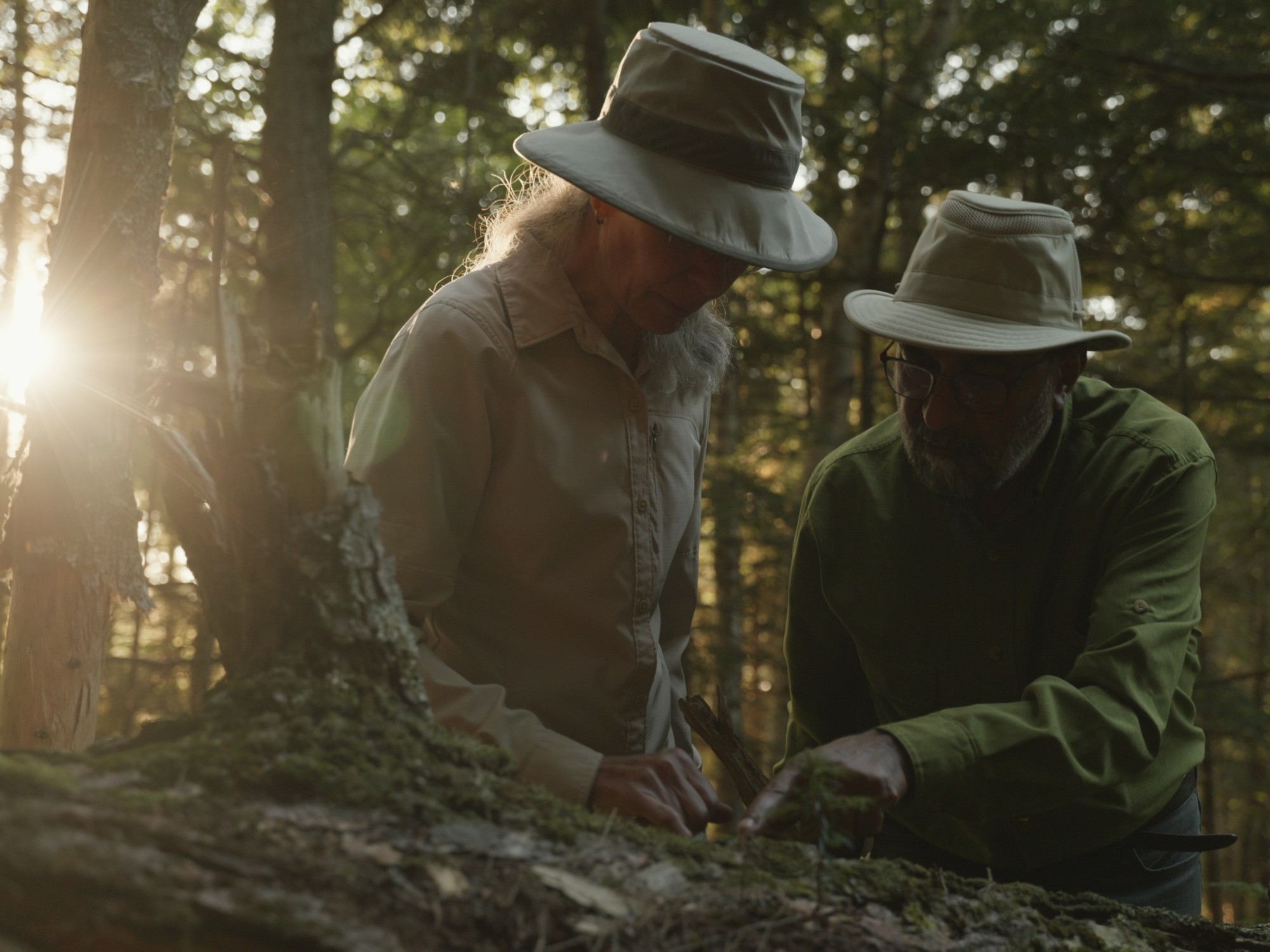 Host Celes Davar shows a guest a point of interest in the forest