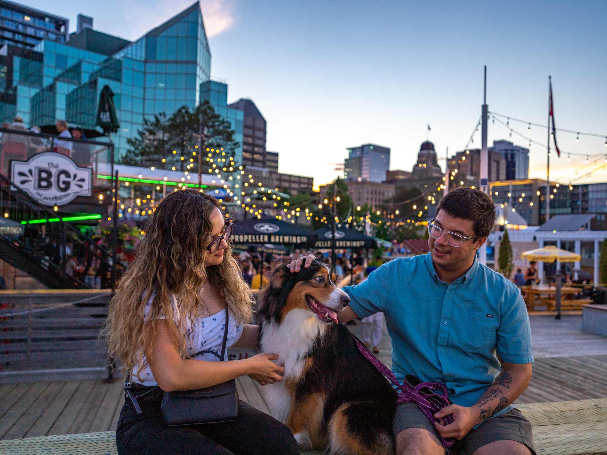 Two people sitting with their dog along the Halifax Waterfront next to The BG beer garden at sunset in the summer in Nova Scotia.