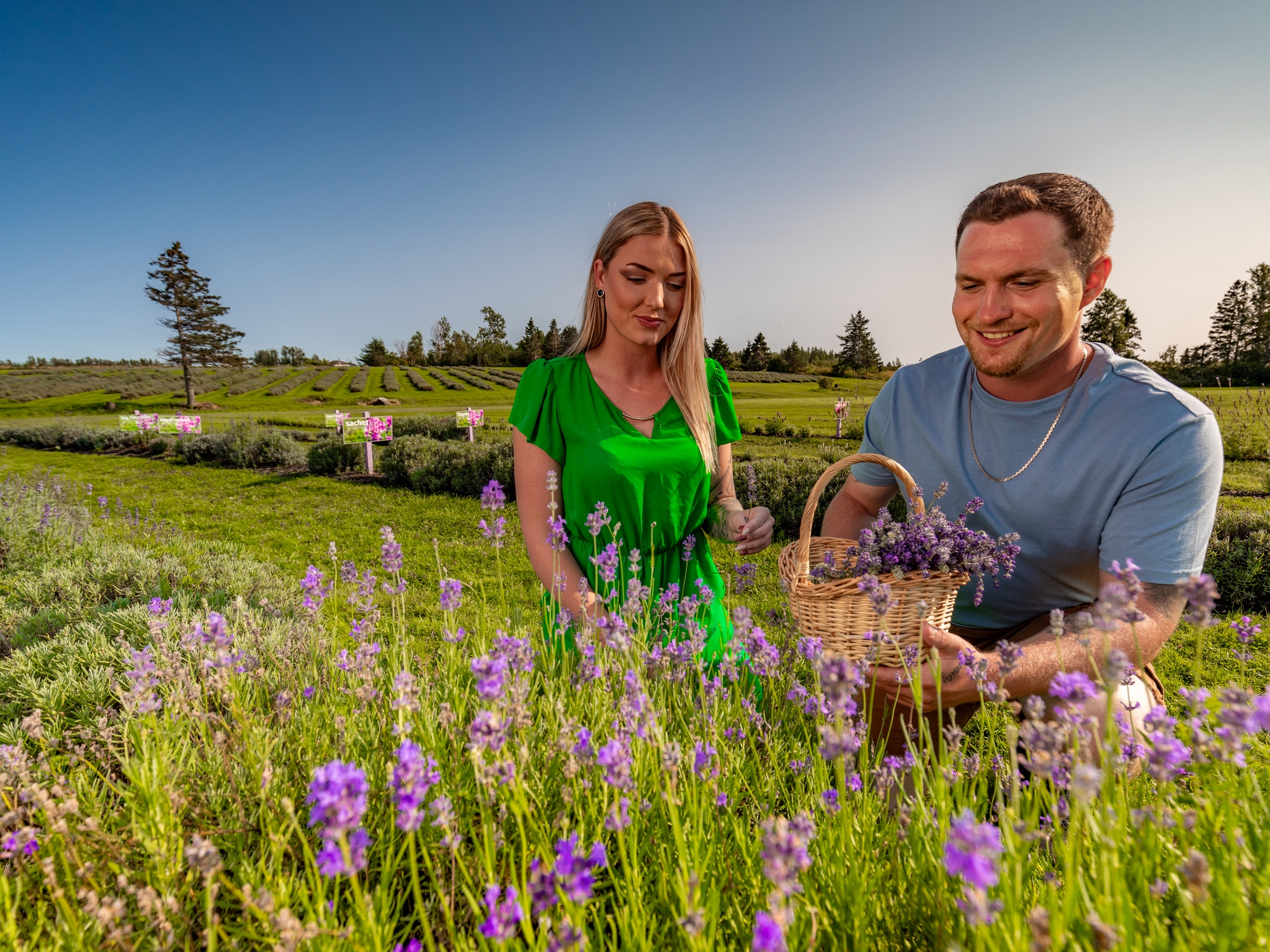 Couple at Seafoam Lavender Farm