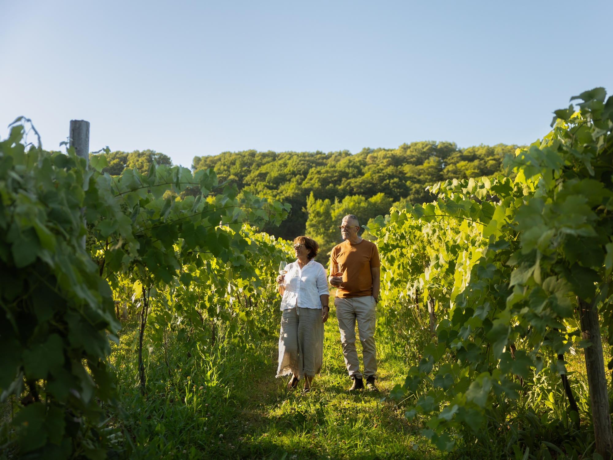 Couple walking in a vibrant green vineyard