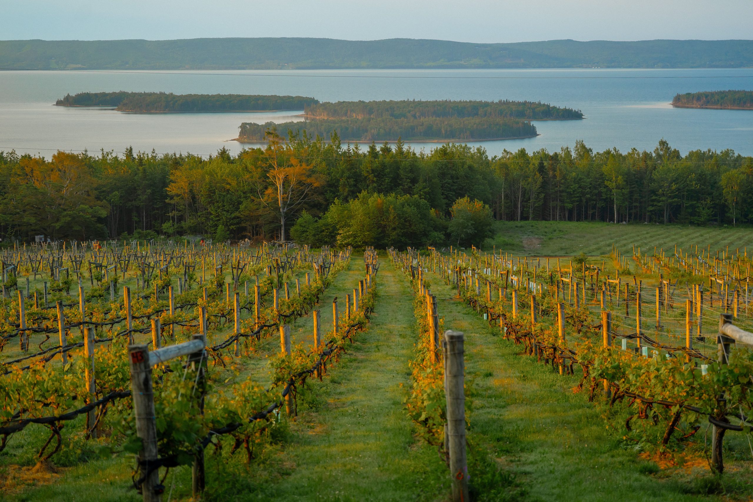 Marble Mountain Estates