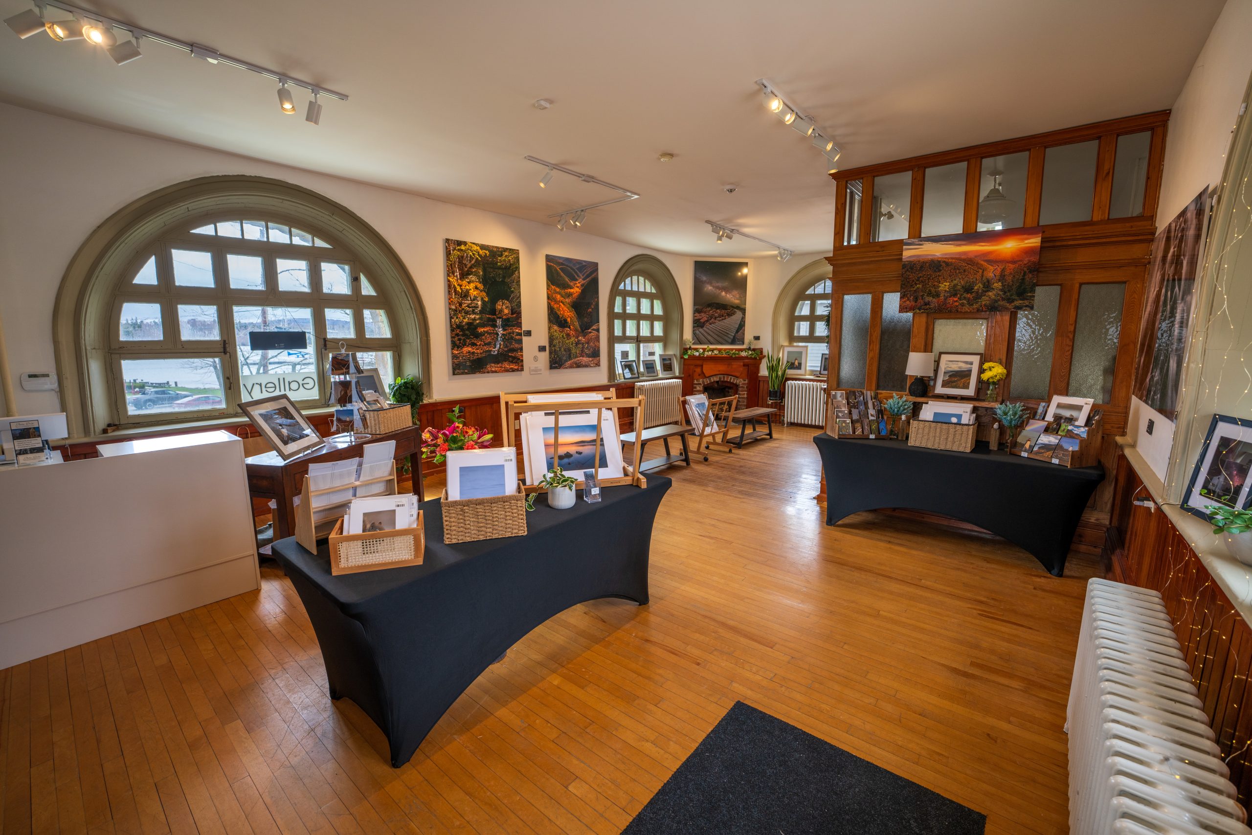 Ethan Rouse Nature and Wildlife Gallery