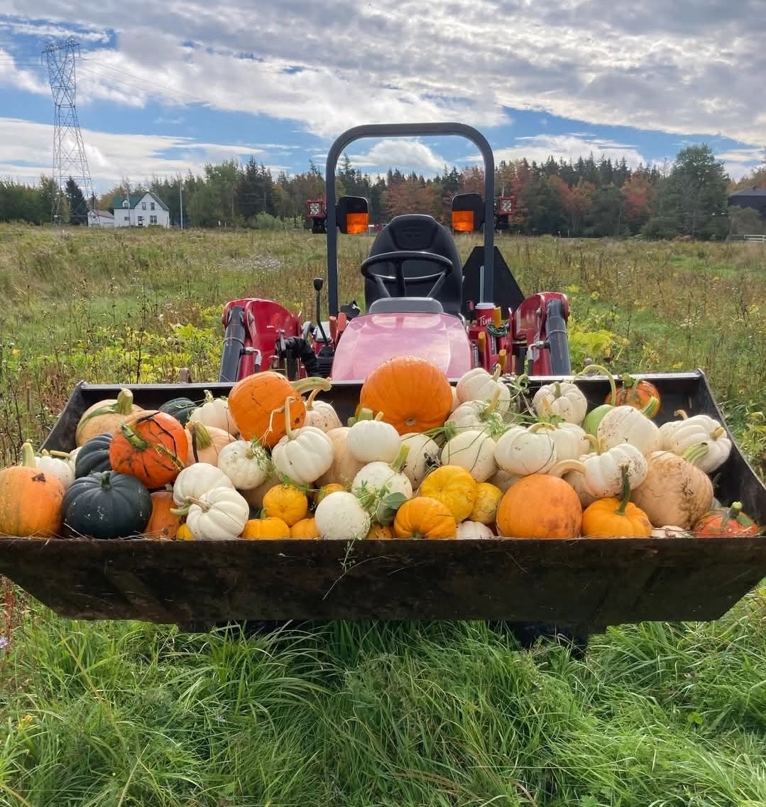 Farmer Tom’s Garden Pumpkin Stand